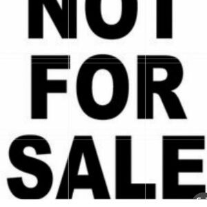 Natori 736037 Body Doubles Lace Trim Full Fit Contour Buff/Lt Mocha Bra 34DD